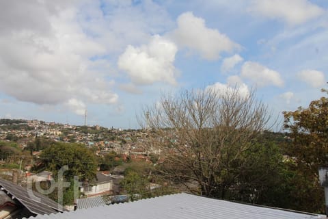 Image 11 - 239735